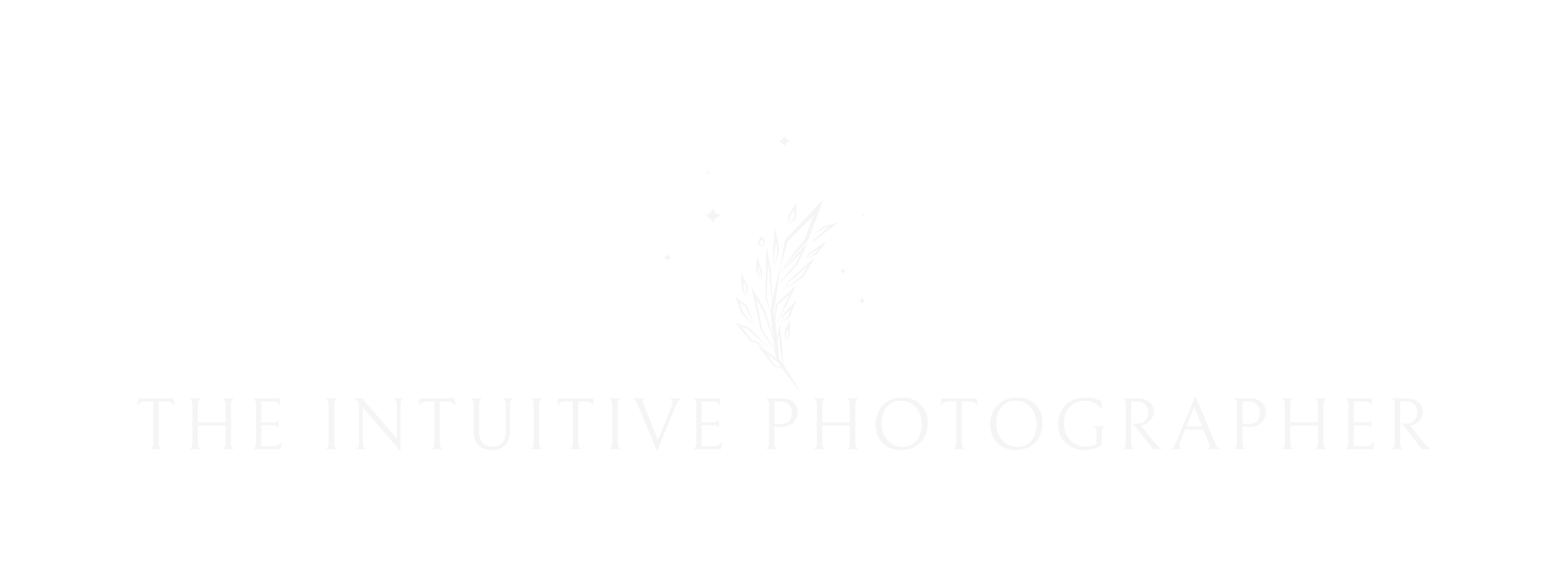 This is the logo for The Intuitive Photographer. The author of this blog is a photographer and writer located in Indian Land, SC, which is located near Fort Mill, SC and Charlotte, NC.